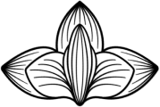 NEW MIUZ logo
